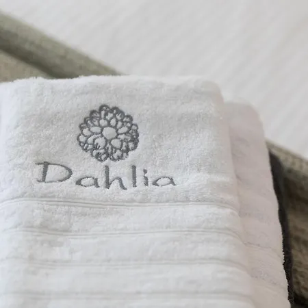 Ivi Mykonean Mimoza * オルノス