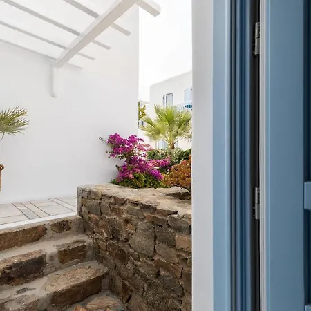 Ivi Mykonean Mimoza * Ornos (Mykonos)
