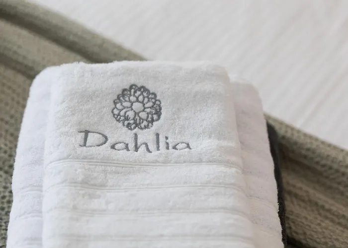 Ivi Mykonean * 奥诺斯