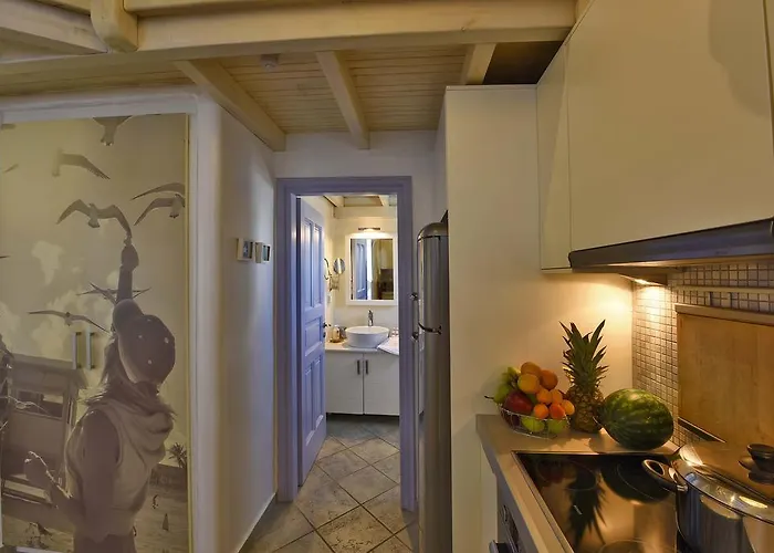 公寓 Ivi Mykonean *